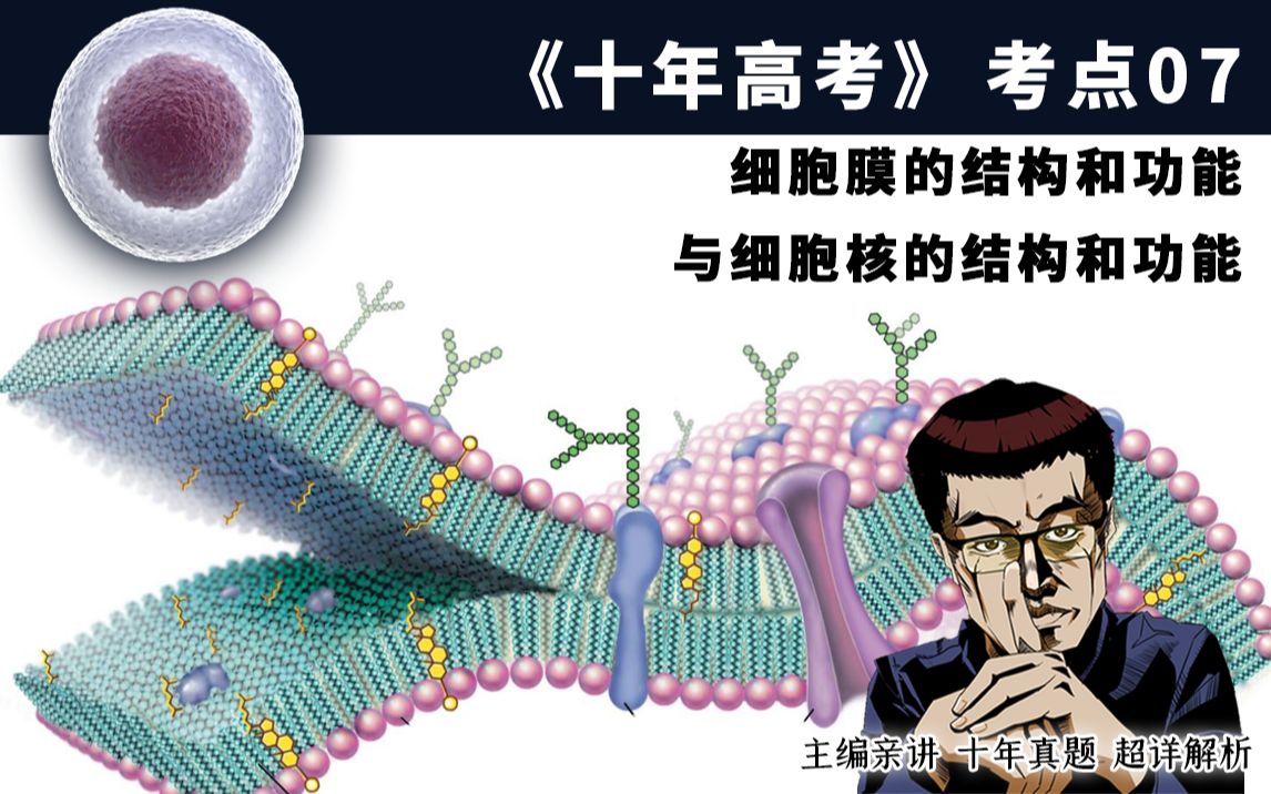 [图]【考点07：细胞膜与细胞核的结构和功能 已完结】别搜题了，十年生物高考真题都在这了