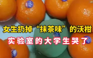 Download Video: 女生扔掉“抹茶味”沃柑，竟是实验室难以养出的青霉菌，实验室的大学生哭了