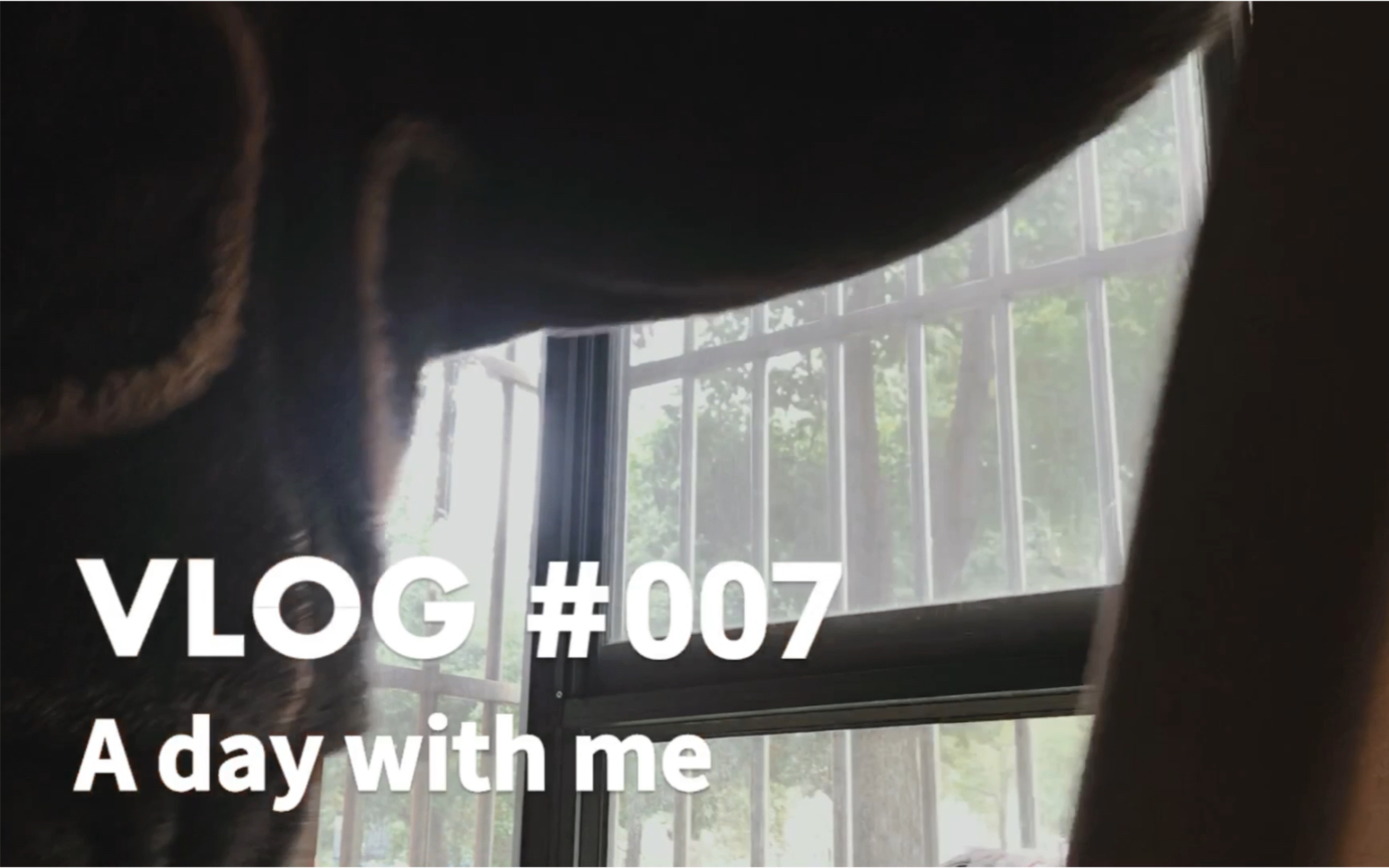 [图]【Vlog#007】沉默的一天|A quiet day with me