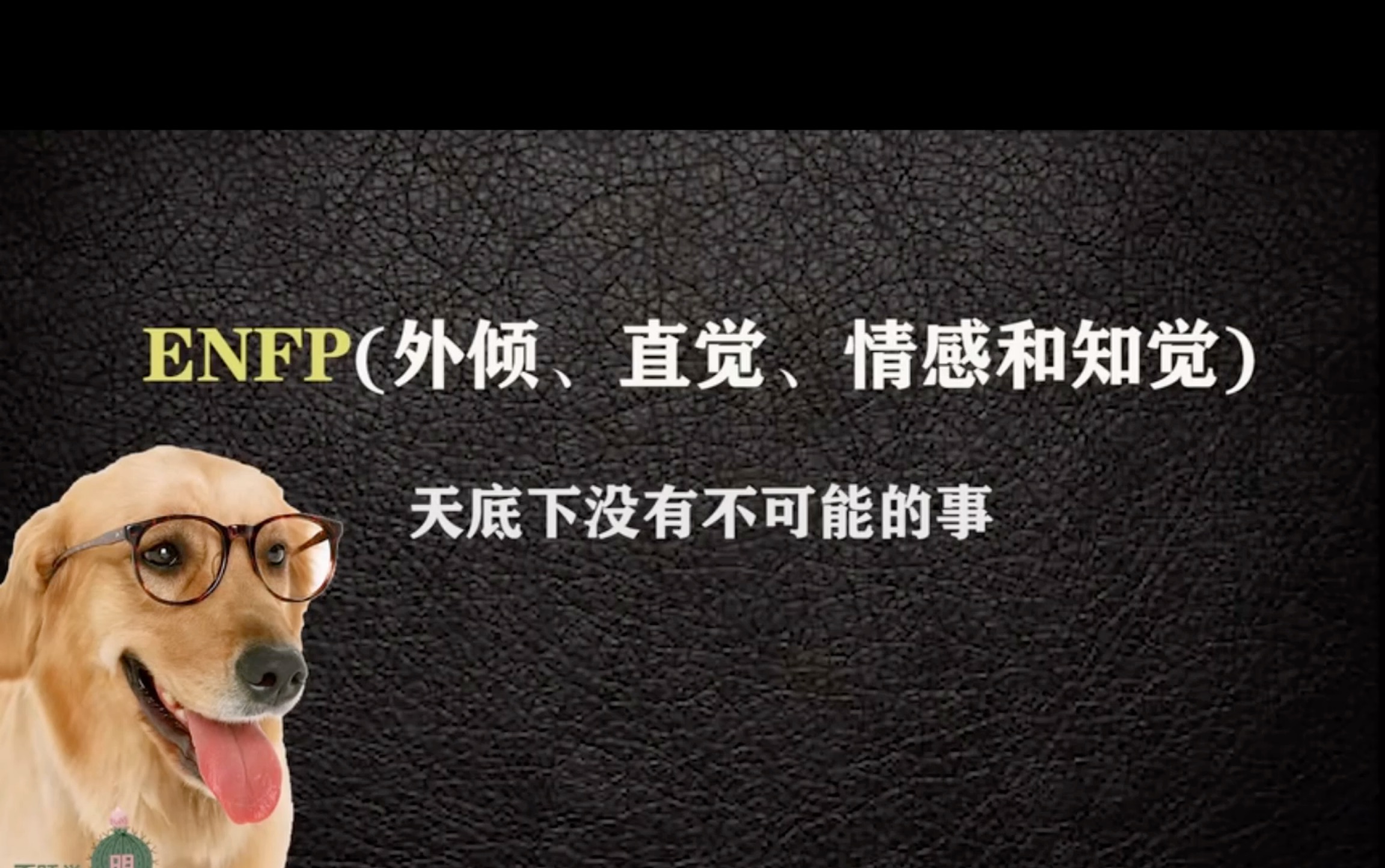 ENFP_哔哩哔哩_bilibili