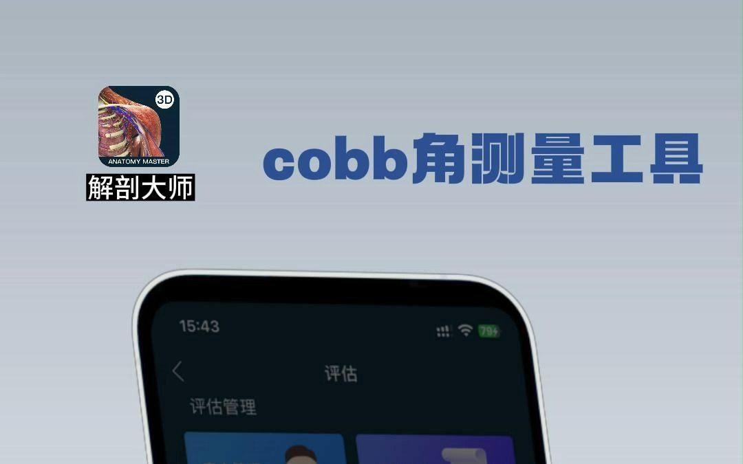 福利:免费脊柱测评工具丨cobb角测量哔哩哔哩bilibili