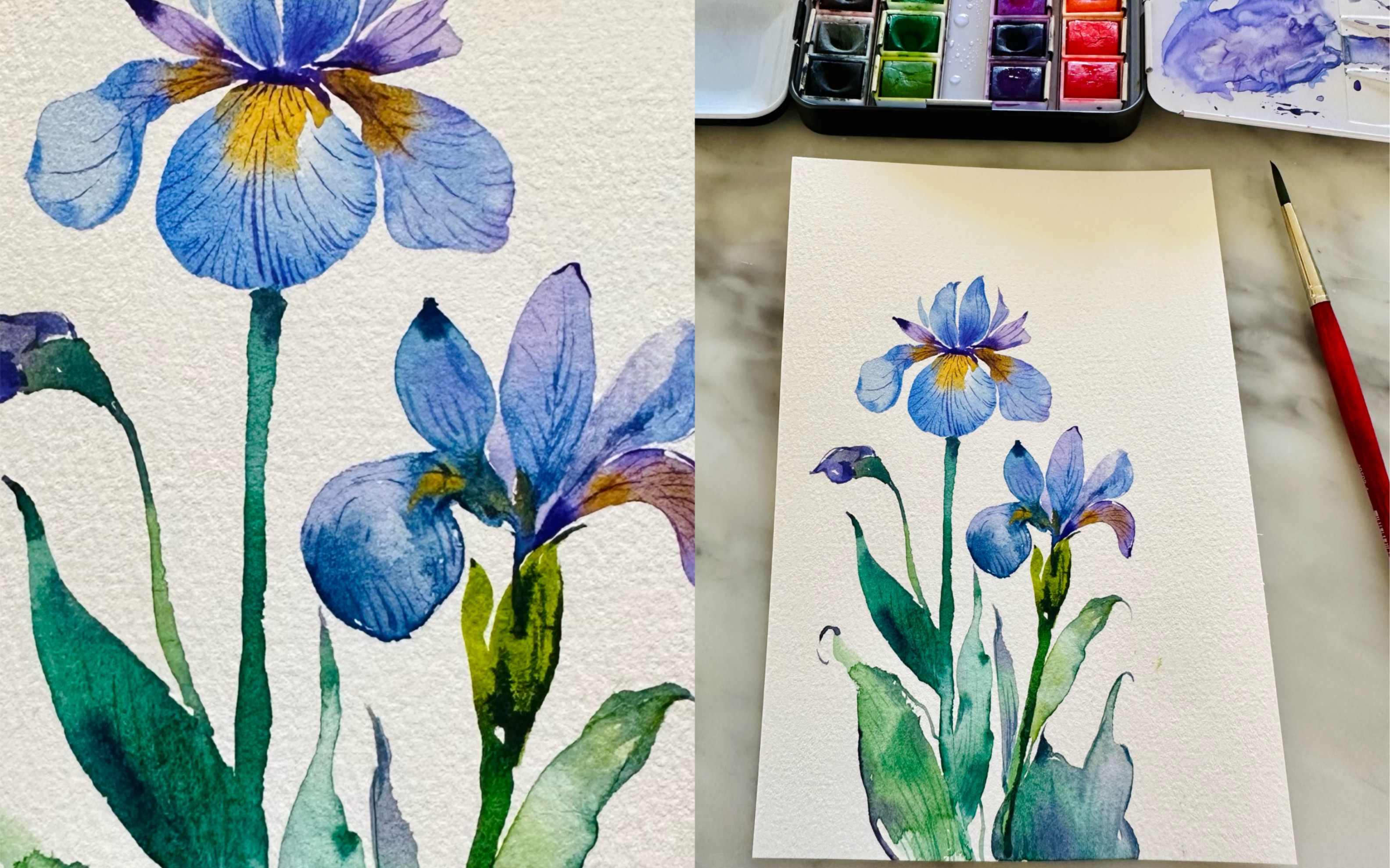 鸢尾花水彩画,三月生日花,梦幻又浪漫.