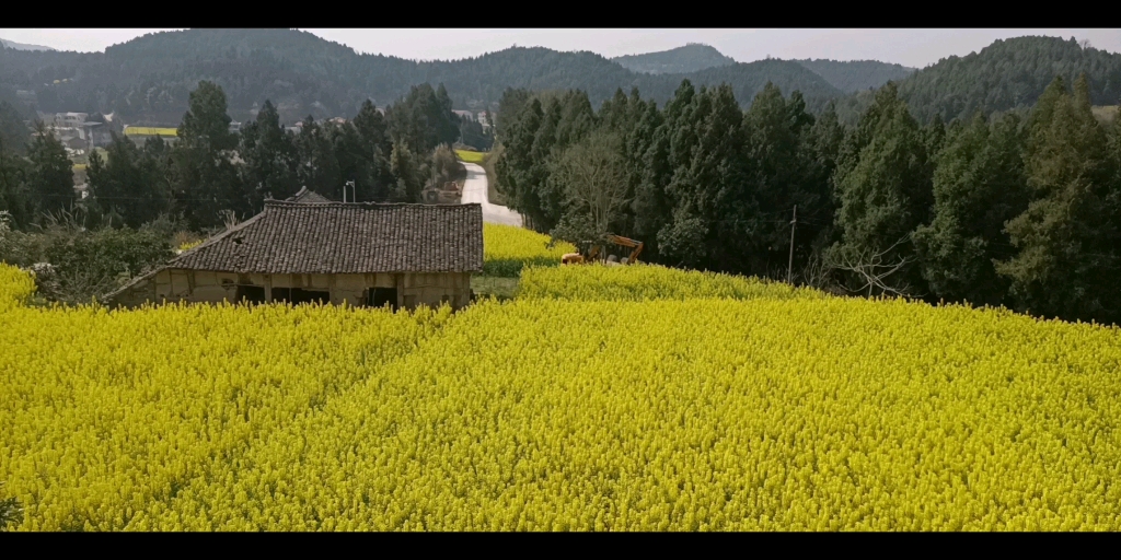 [图]花团锦簇之后，是逝去的凄凉