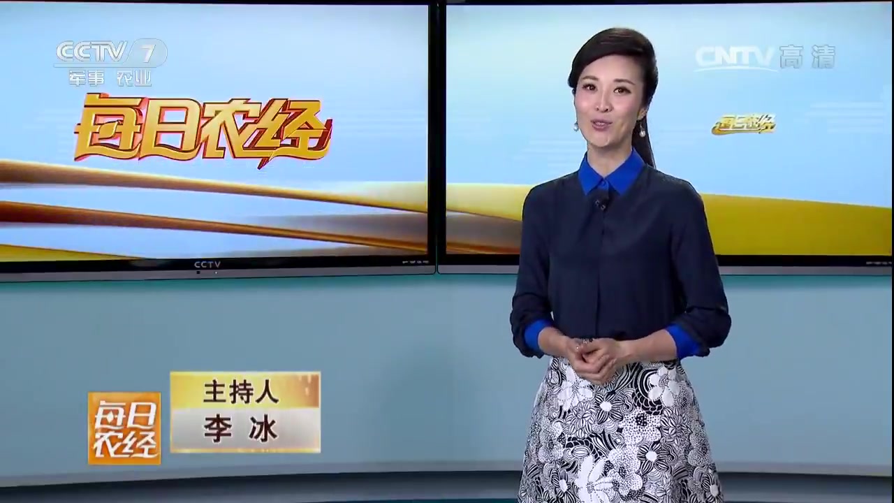 每日农经羌寨的樱桃是个宝20170602