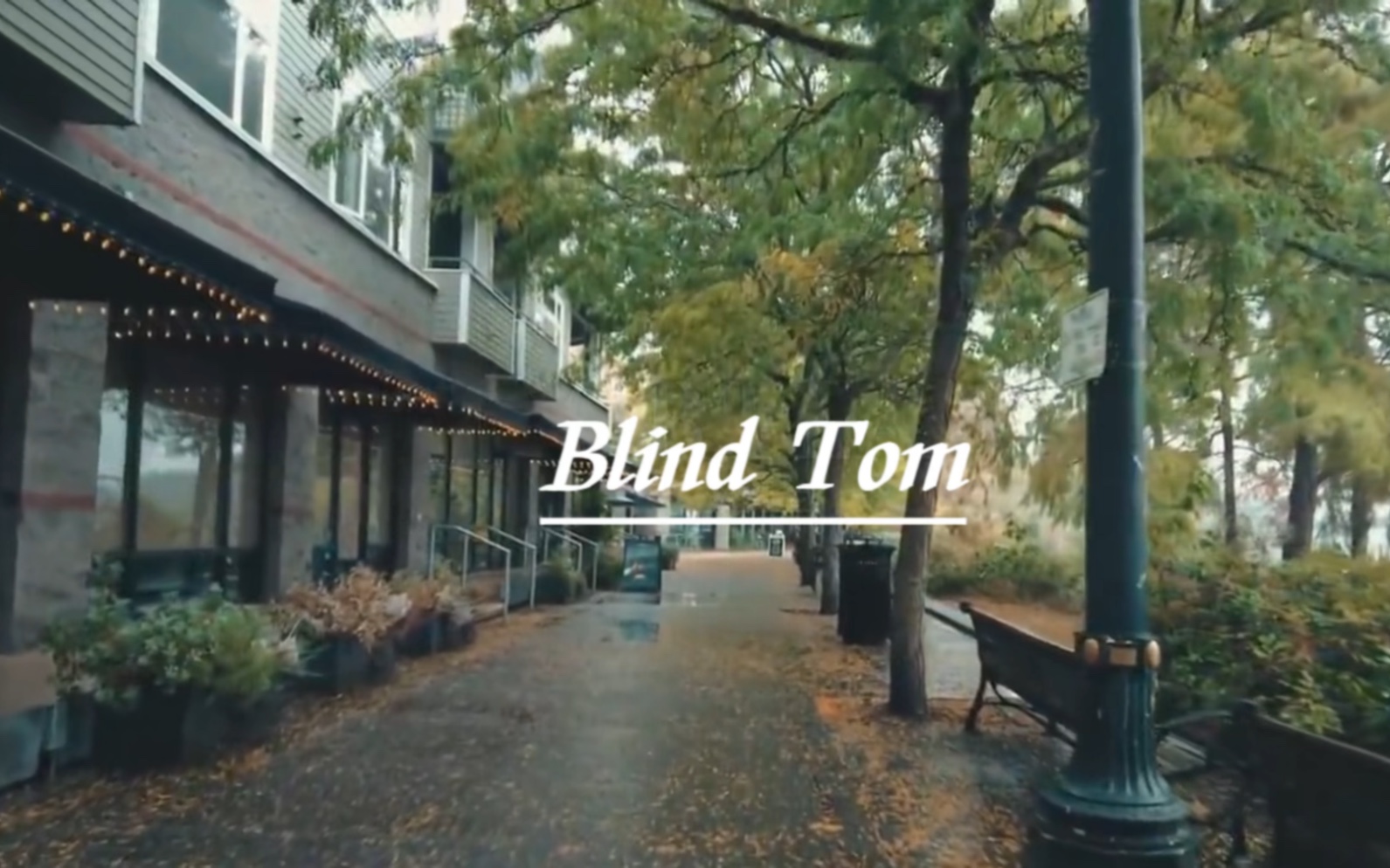 [图]一首歌讲了一生《Blind Tom》宝藏歌曲 温柔安静