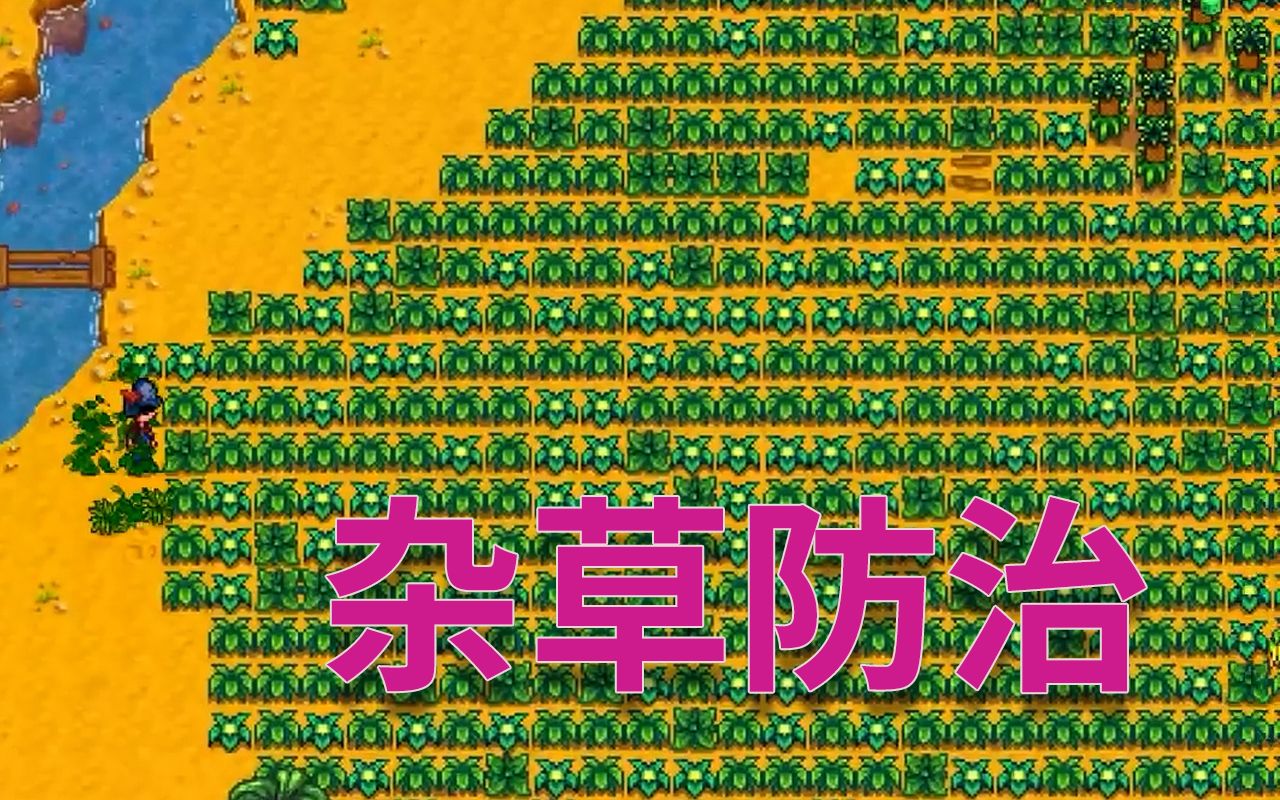 【星露谷物语】姜岛农场杂草的防治