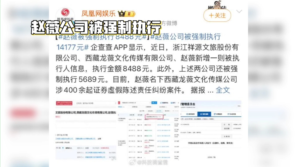 赵薇公司被执行,登上热搜第一哔哩哔哩bilibili