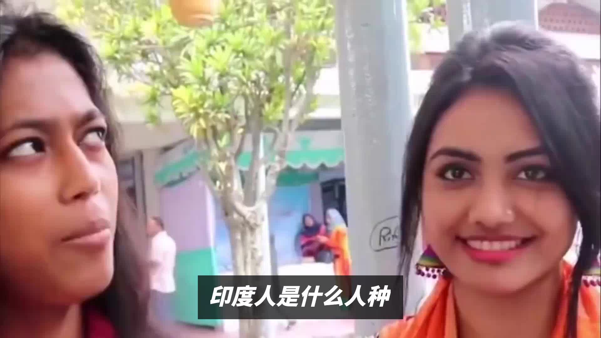 印度人是什么人种哔哩哔哩bilibili