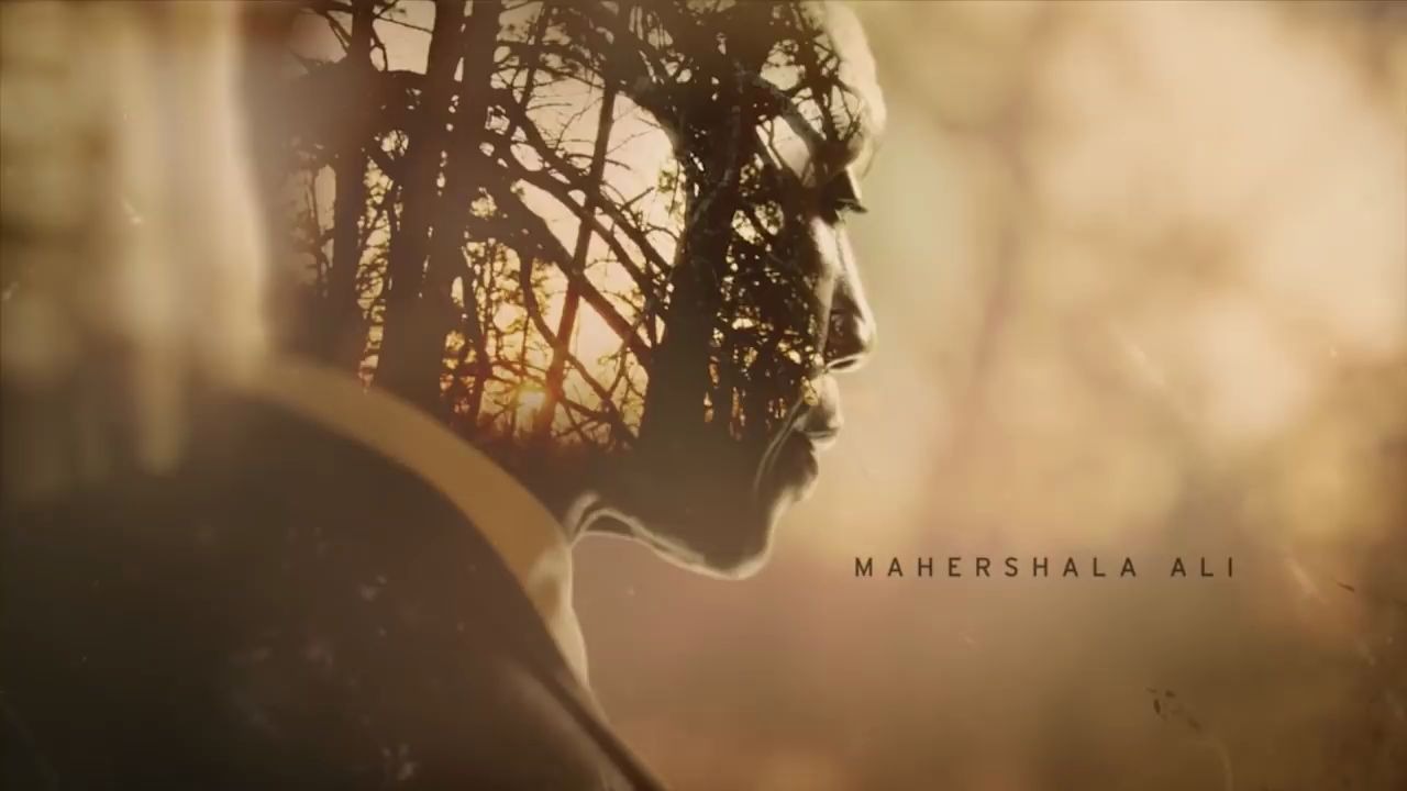 真探真探第三季片头曲truedetectiveseason3opening美剧片头