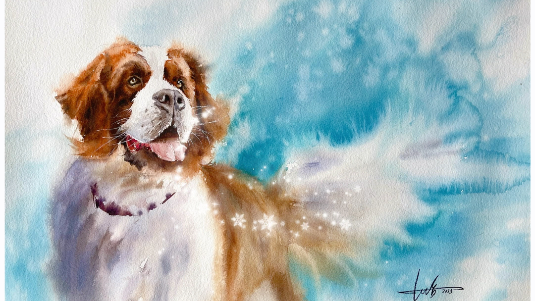 水彩狗狗|水彩基础课程可查看主页海报