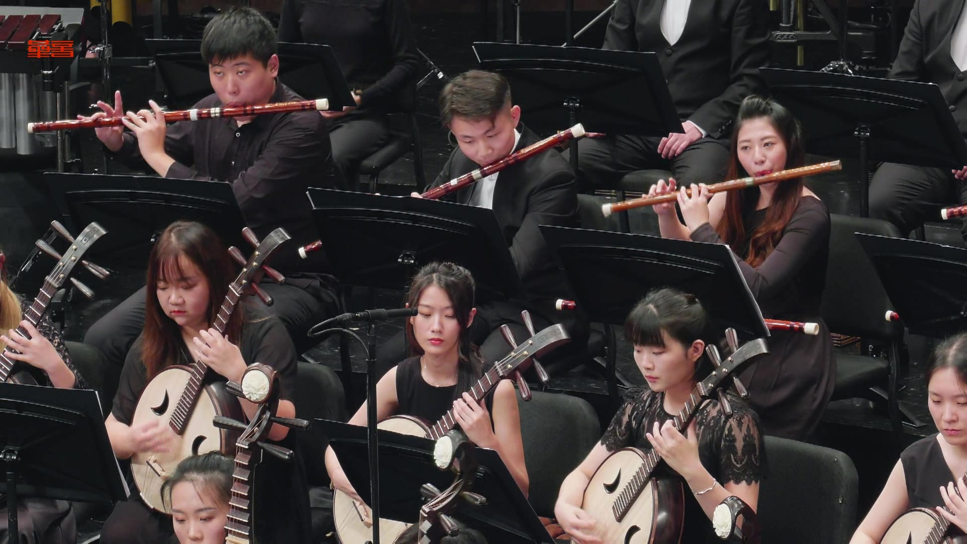 民族管弦乐《哈头曲》朱慧作品,指挥:彭家鹏 演奏:苏州民族管弦乐团