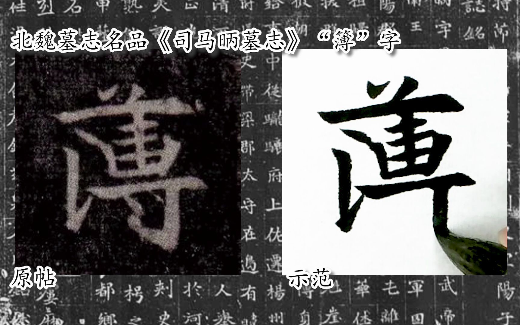 [图]【每日一字】书法系列，周东芬临北魏楷书《司马昞墓志》“簿”字