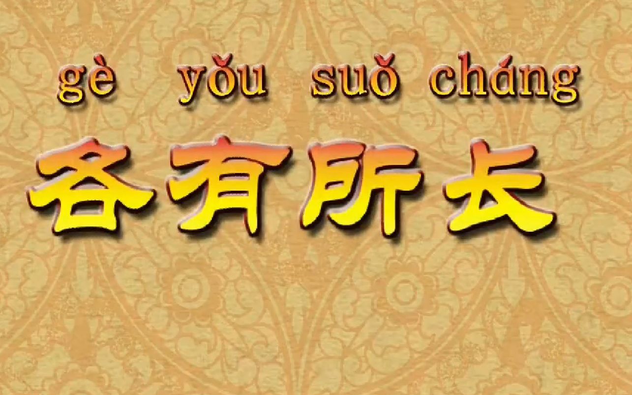 佟丽丽成语故事各有所长