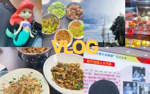 Download Video: 湘潭大学｜vlog |都是讲座｜栖桥人家的葱油肚丝｜星巴克的圣诞新品纸杯蛋糕真难吃