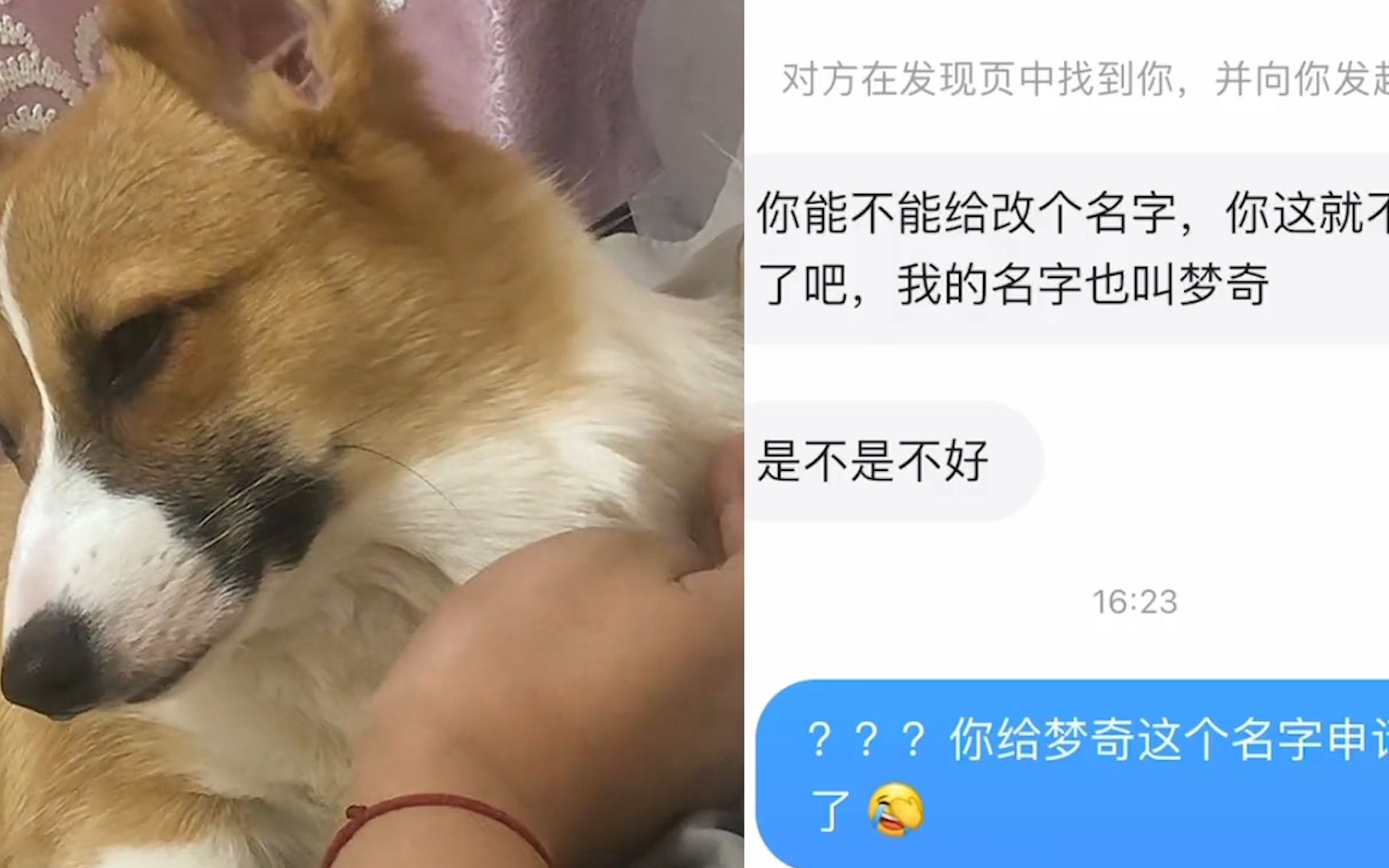 女子给狗取名梦奇,同名网友找来要求给狗改名:侵犯本人姓名权了哔哩哔哩bilibili