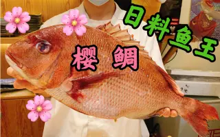 白身鱼 搜索结果 哔哩哔哩 Bilibili