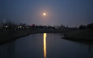 月夜的水面 搜索结果 哔哩哔哩 Bilibili