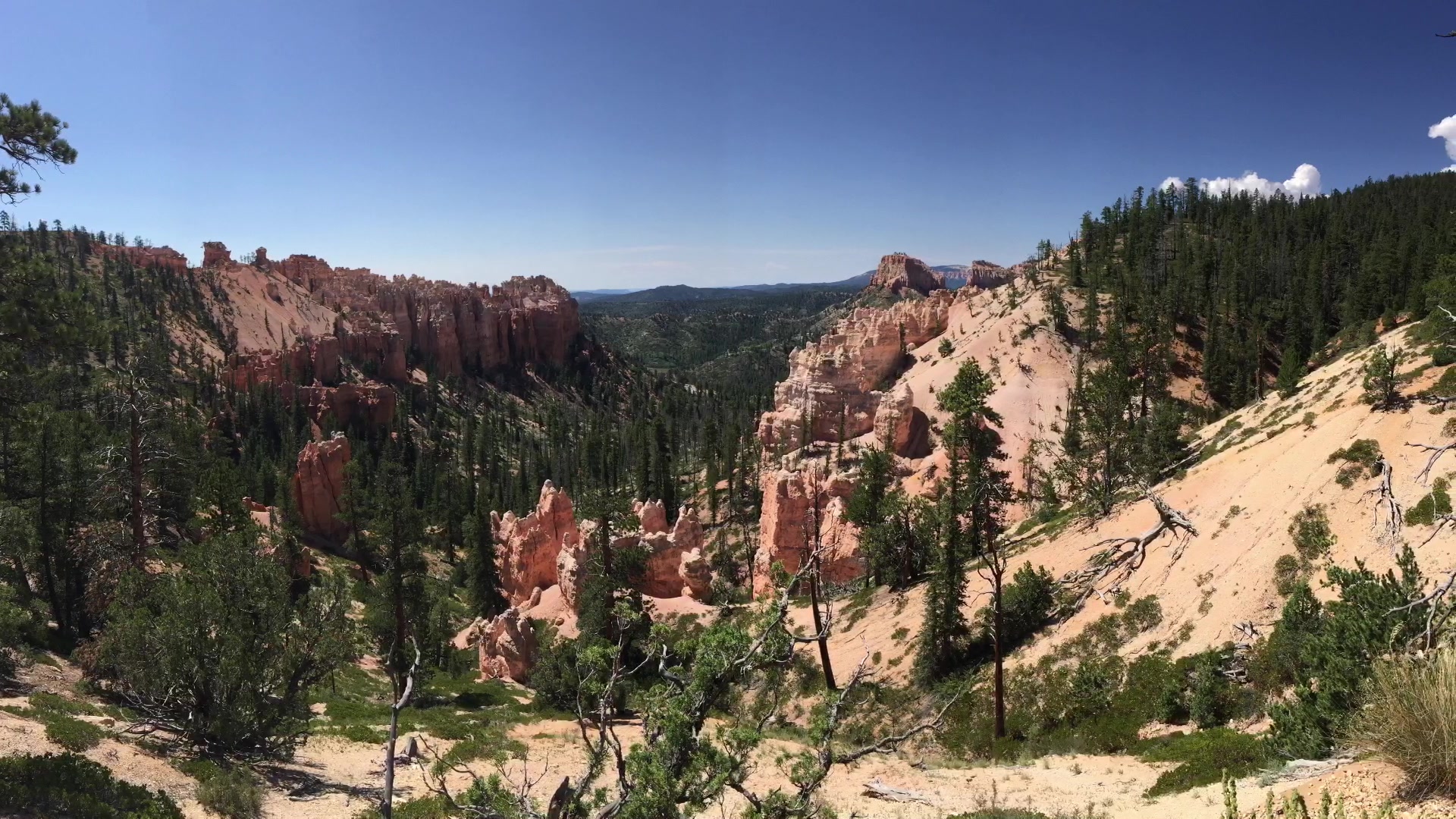 up美国行之red canyon