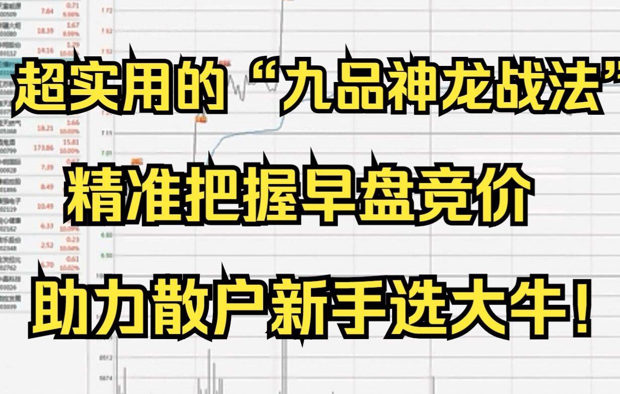 超实用的“九品神龙战法”,精准把握早盘竞价,助力散户新手选大牛!哔哩哔哩bilibili