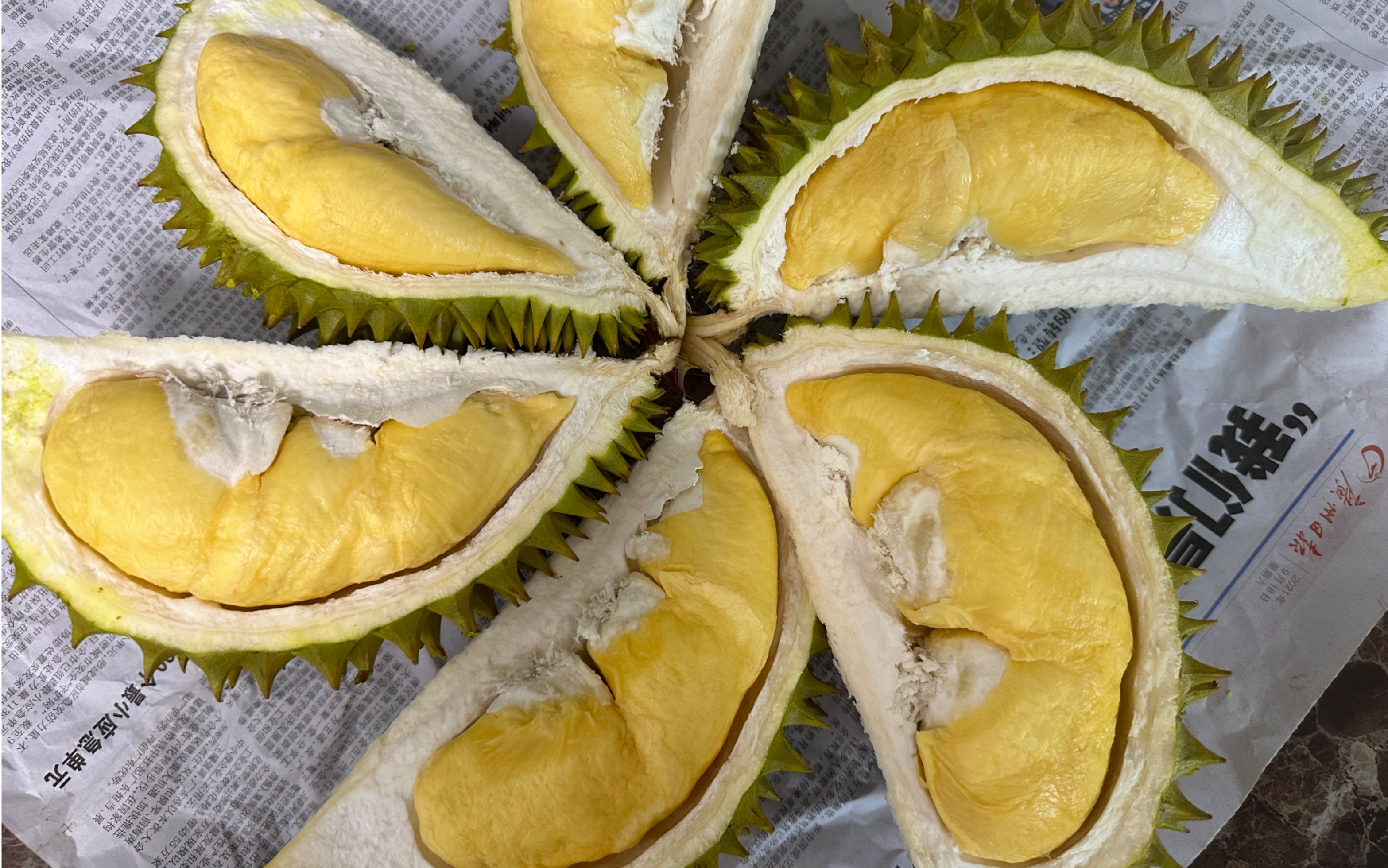 沉浸式开榴莲!三斤半!六房!干包!黄肉!居然是干尧