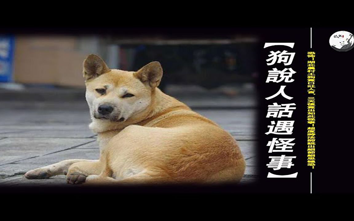 湖北农村土狗竟口吐人言,三天后竟出如此怪事!