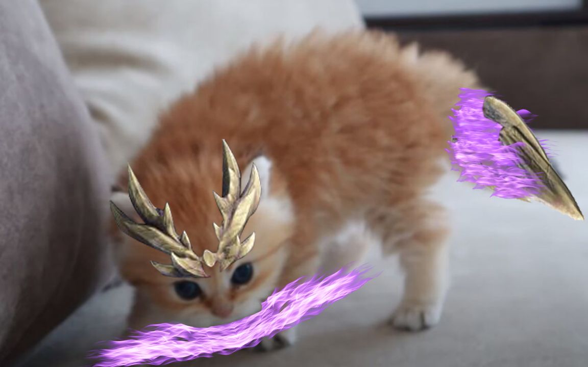 活动作品怪猎rise普通人太刀怨虎龙3分59秒