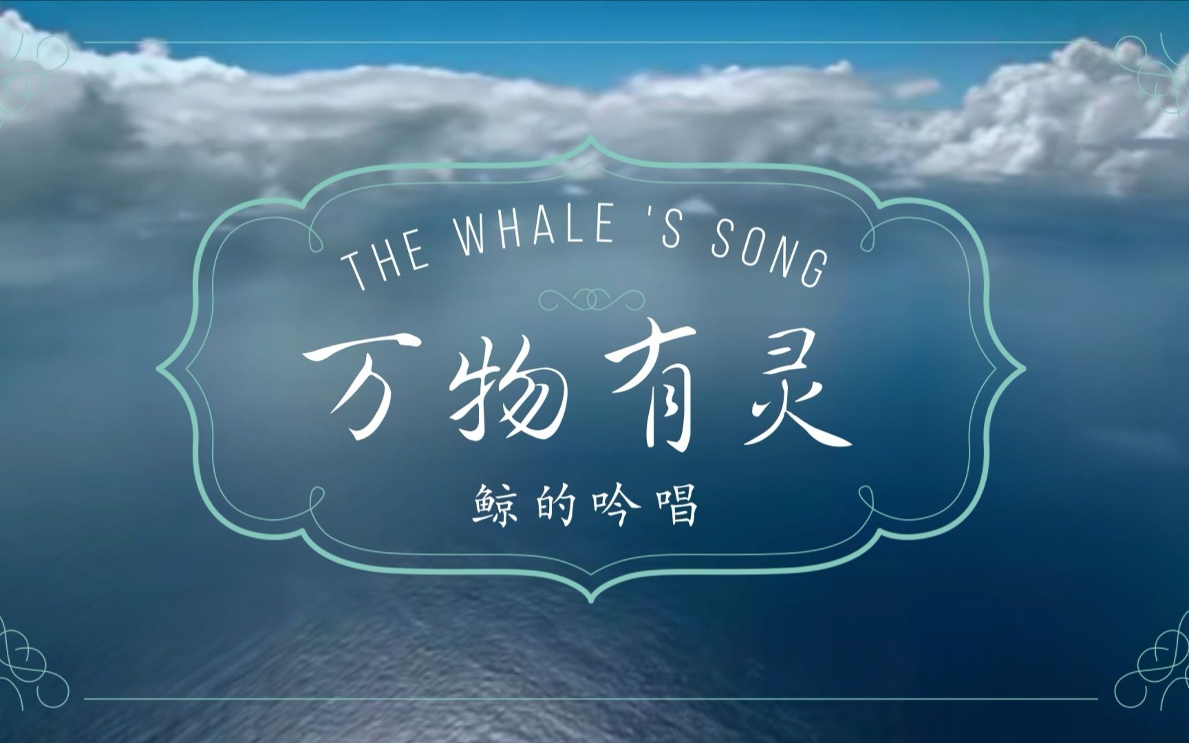 【世界海洋日】万物有灵——鲸豚类混剪(深海恐惧,巨物恐惧症慎入)哔哩哔哩bilibili