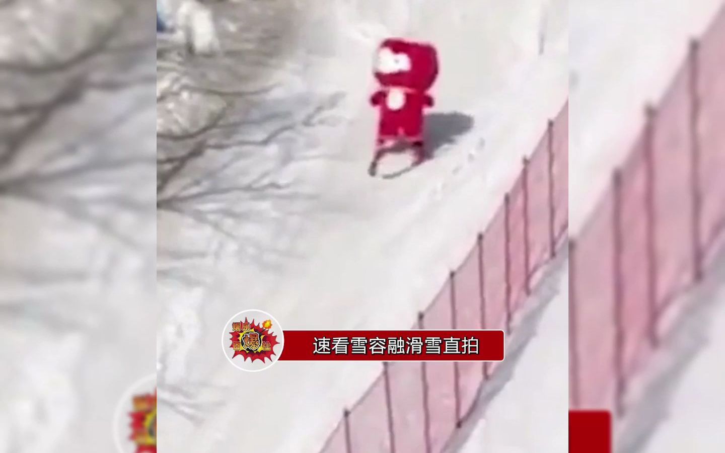 [图]点击即看雪融容滑雪直拍，容宝滑的真好，这才是顶流的自我修养！