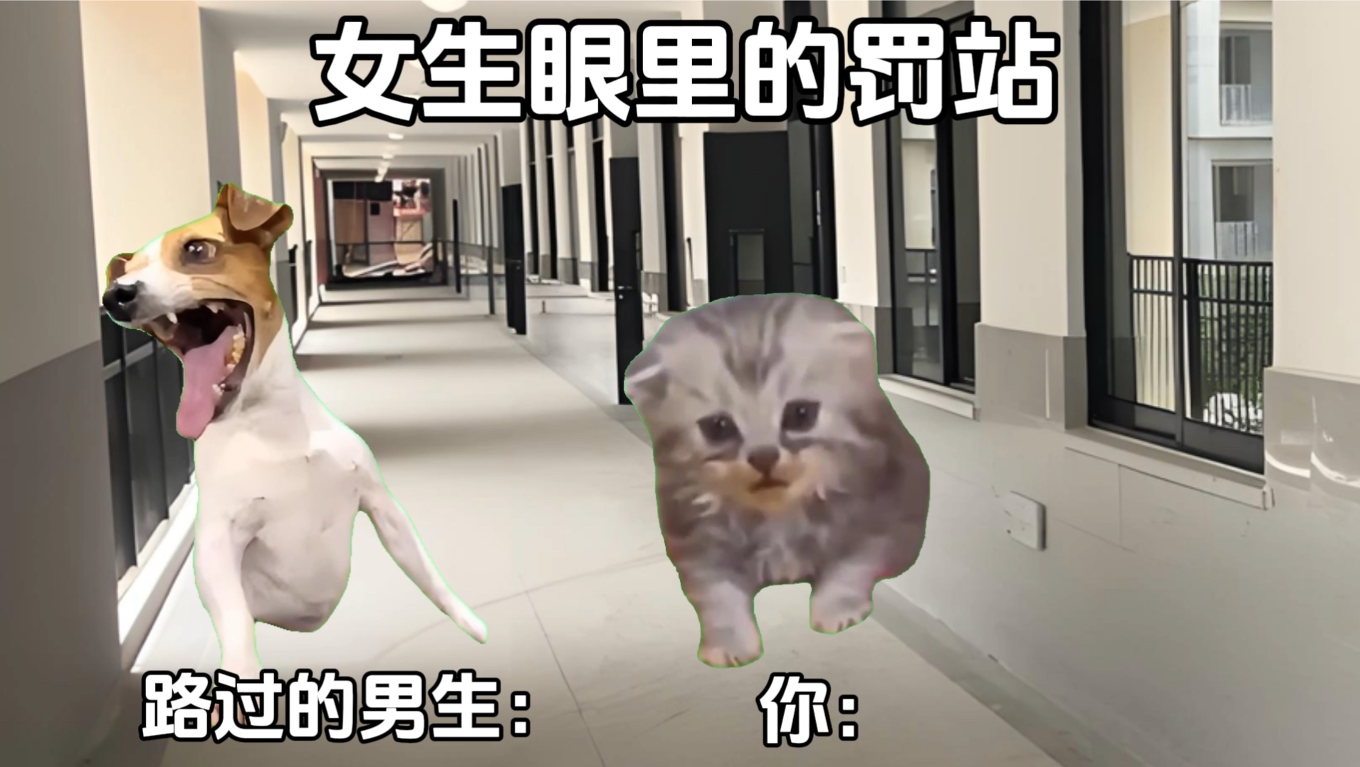 男女生眼里的罚站!