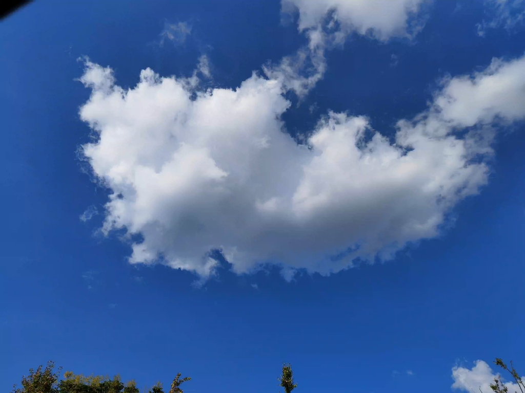 蔚蓝的天空,碧绿的草地
