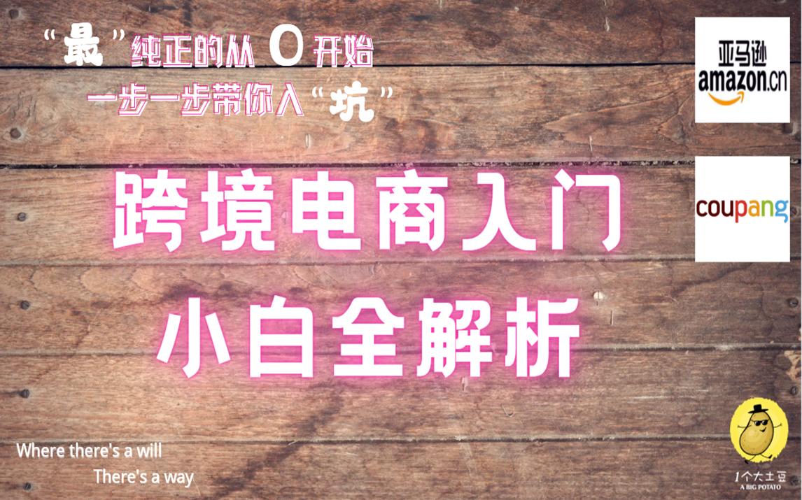 大土豆和你一起做跨境电商49—跨境电商小白入门全解析哔哩哔哩bilibili