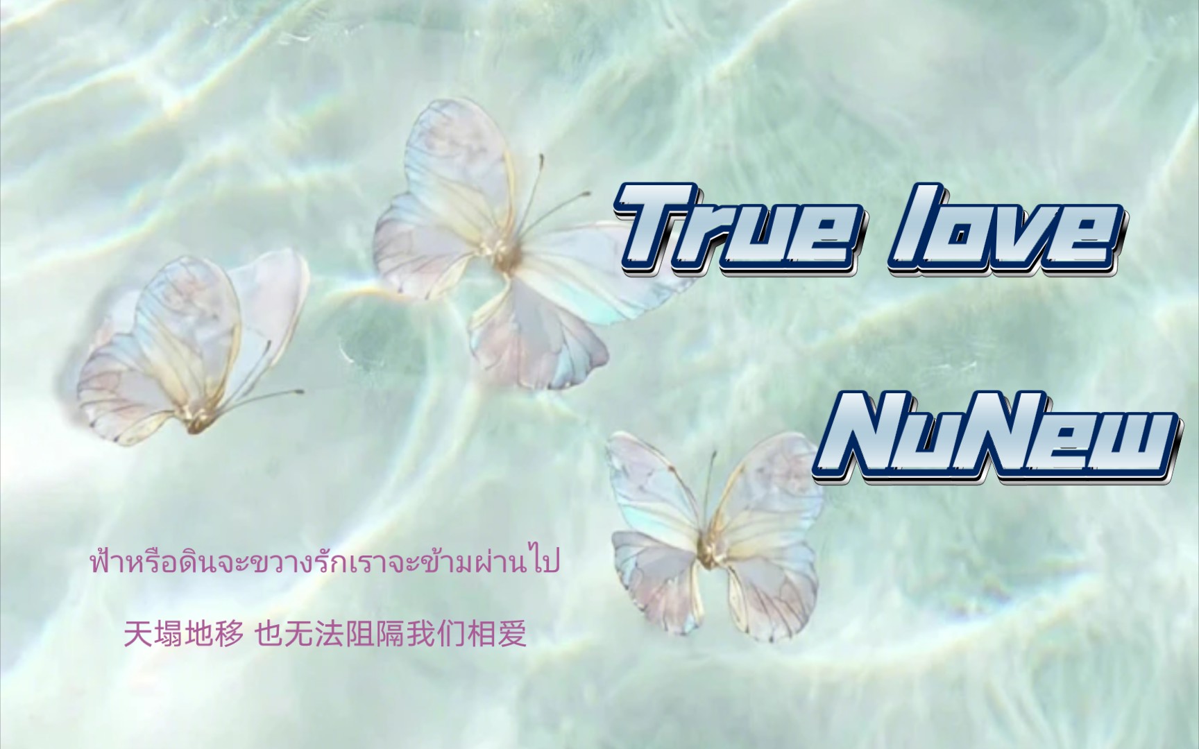 [图]小众歌曲｜【รักแท้ ／True Love】｜NuNew｜真爱