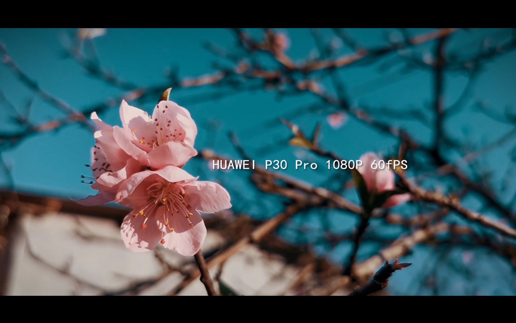 [图]【HUAWEI P30 Pro】1080P 60FPS实拍样片来了，一起纵享丝滑吧！