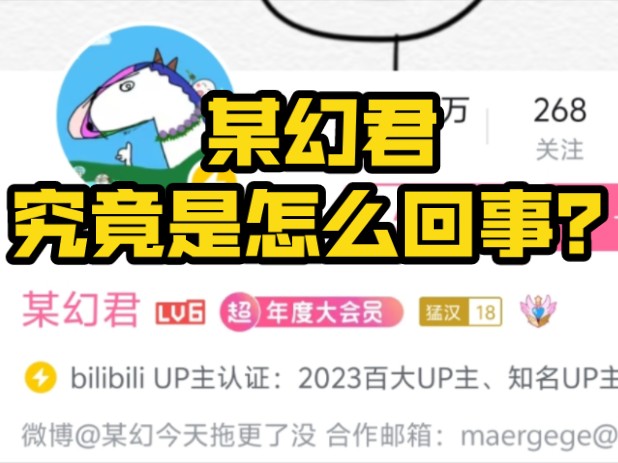 b站知名up主某幻君这件事究竟是怎么回事?导致风评很差?哔哩哔哩bilibili