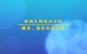 Download Video: 检测植物组织中的糖类、脂肪和蛋白质