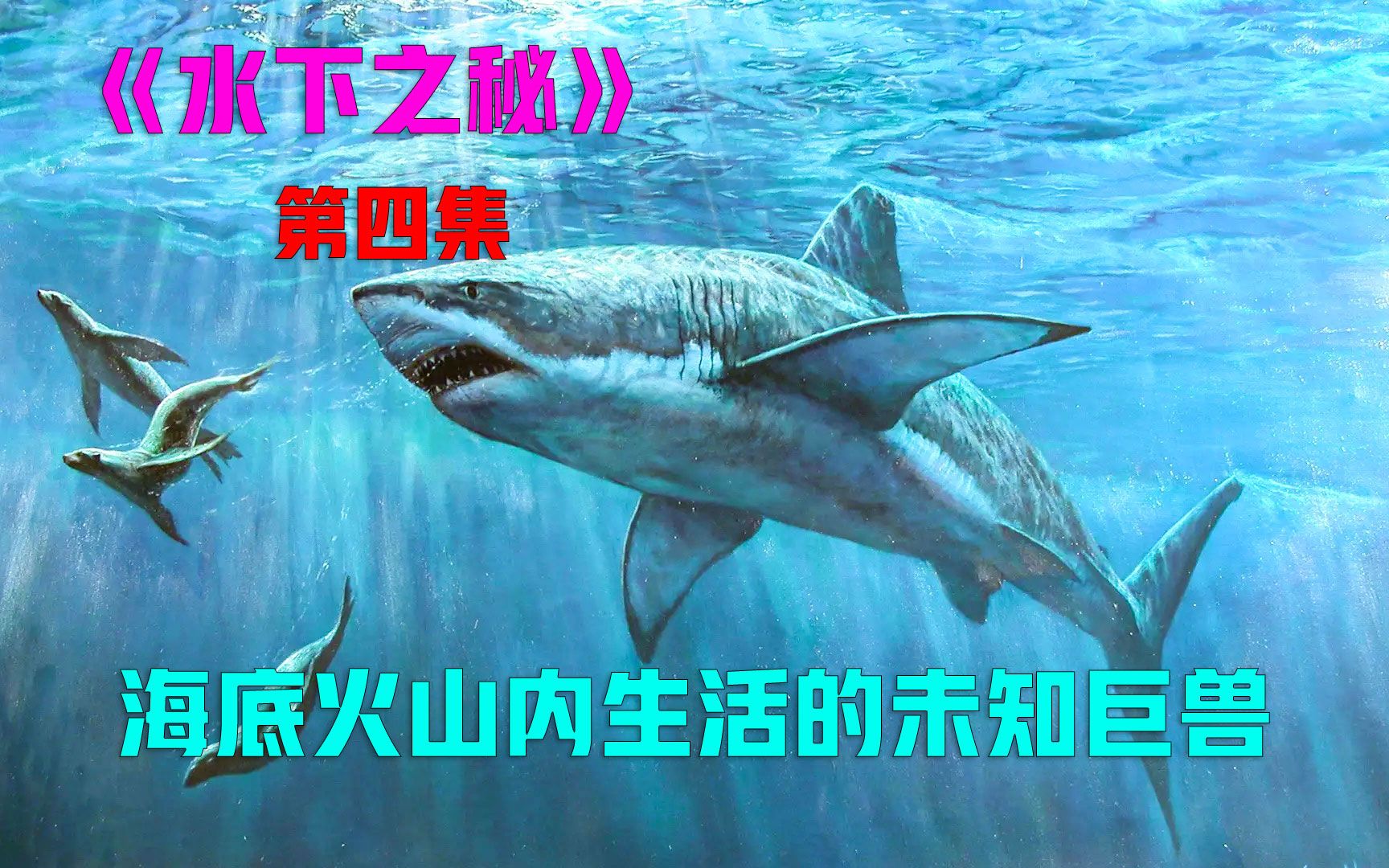 [图]渔民在海上意外捕获小海怪，持续更新中#水下之秘