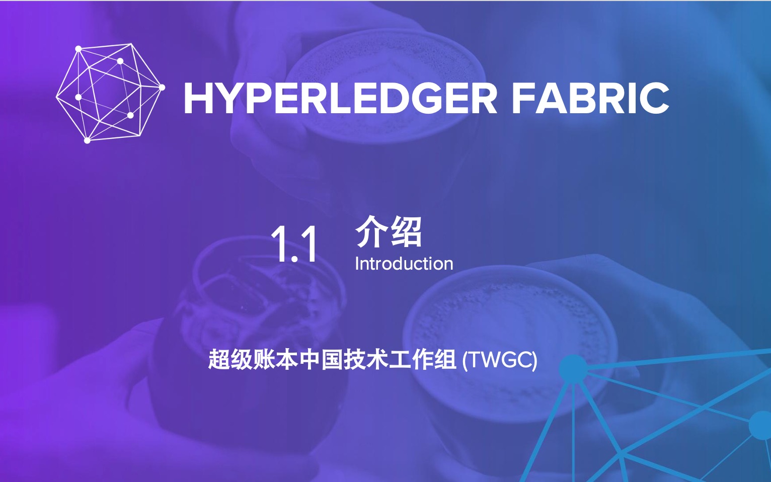 Hyperledger Fabric —— 1.1 介绍 #By TWGC(超级账本中国技术工作组)哔哩哔哩bilibili