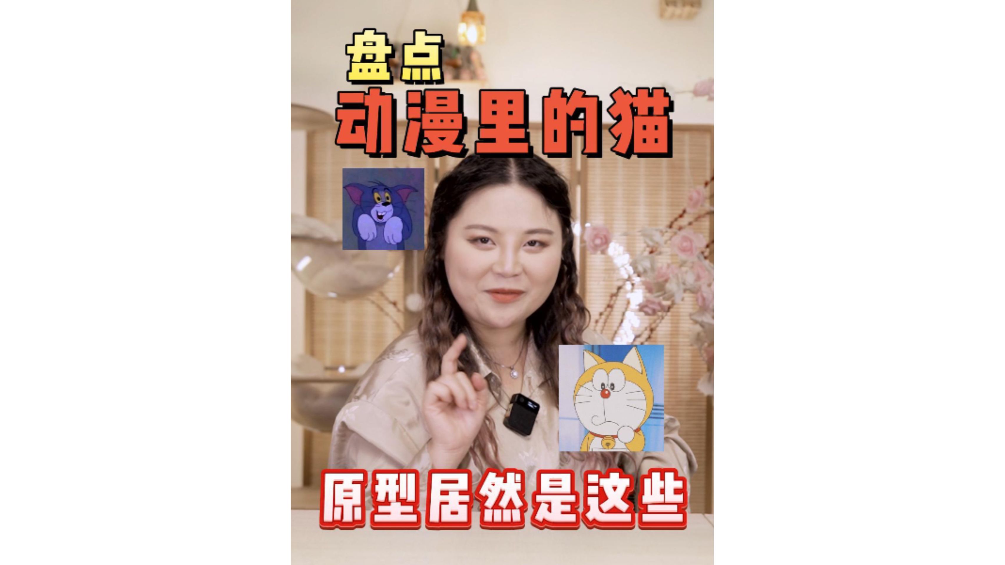 动漫里的猫品种大盘点,看看你知道几个?哔哩哔哩bilibili