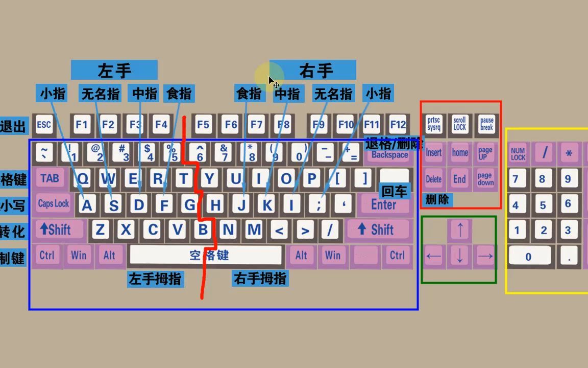 零基础学电脑打字,快速学会键盘打字,适合初学者学习