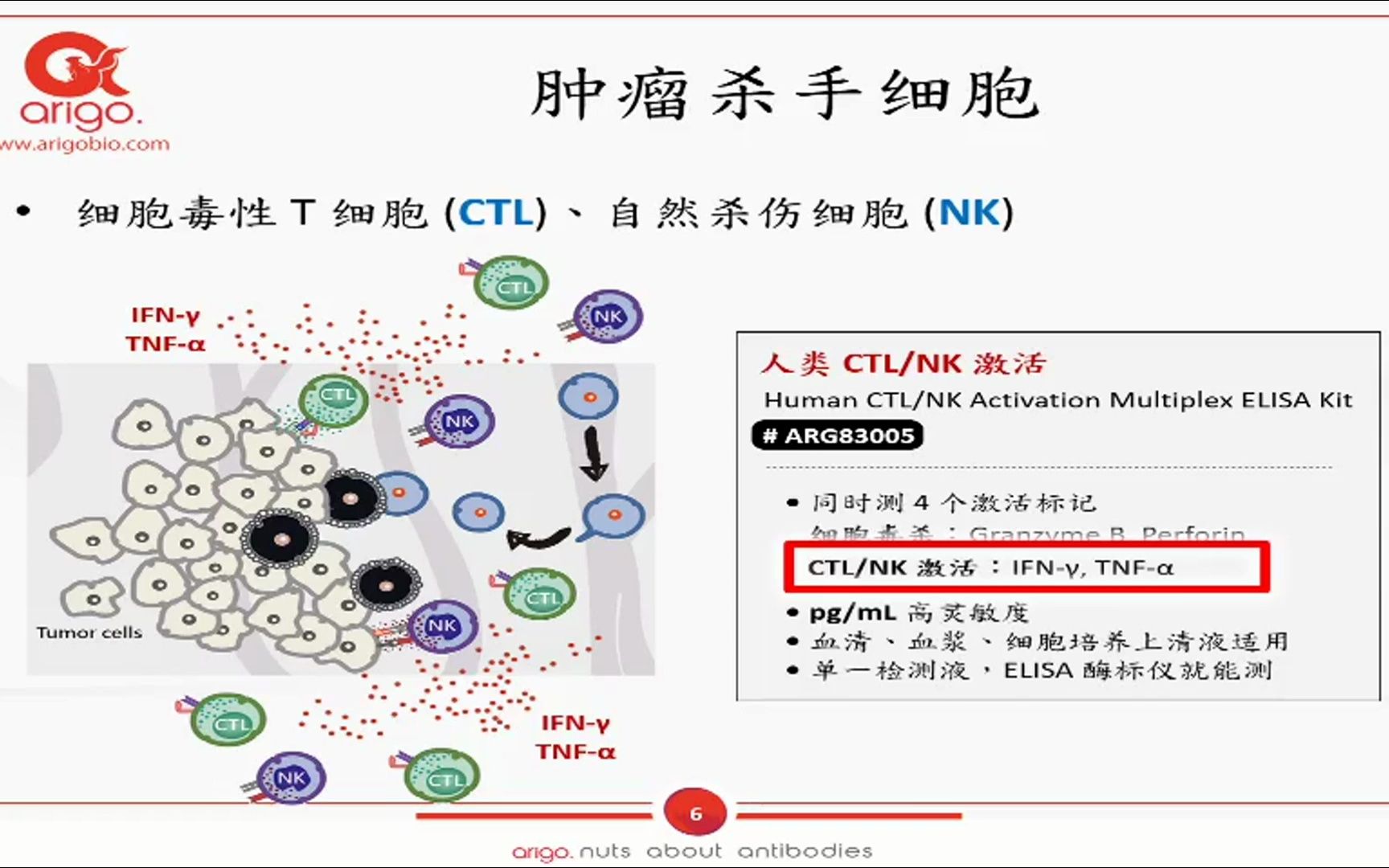 【arigo 讲座】左右肿瘤微环境  M1/M2、Th1/Th2/Treg 来试试哔哩哔哩bilibili