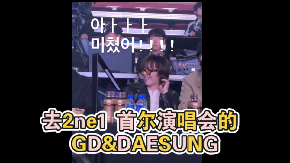 去2ne1首尔演唱会的 GD&DAESUNG 241006哔哩哔哩bilibili