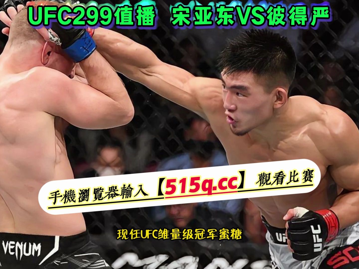 UFC299官方直播:宋亚东VS彼得严(中文完整)解说哔哩哔哩bilibili