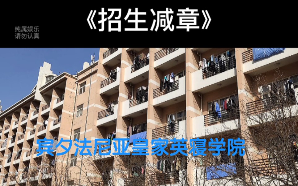 《招生减章》滨州学院哔哩哔哩bilibili