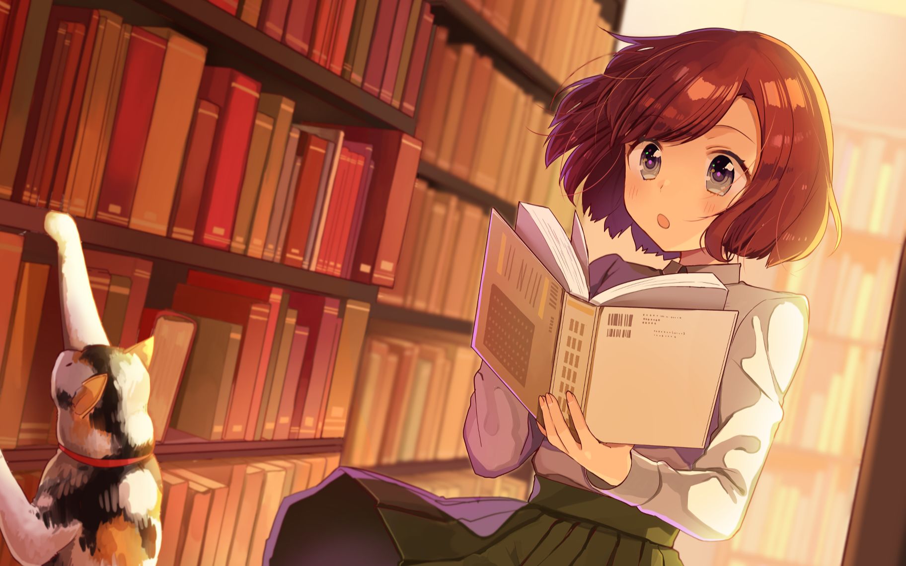 【嶺上】:第五期炸精炼视频