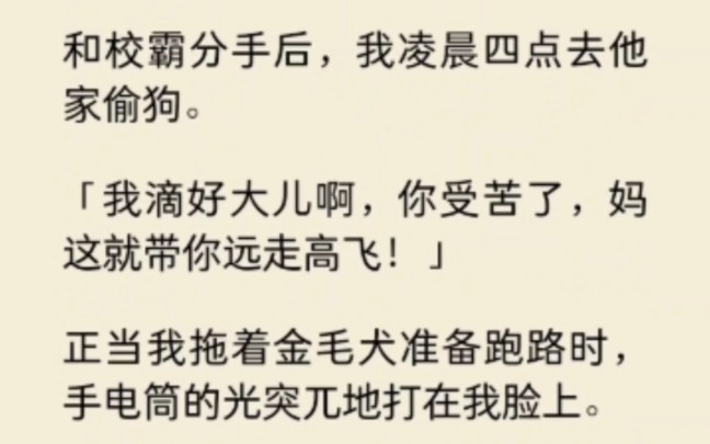 和校霸分手后,我凌晨四点去他家偷狗:“我滴好大儿,妈这就带你远走高飞!”谁知校霸突然冲出来“顺便也把我偷走呗…妈?”哔哩哔哩bilibili