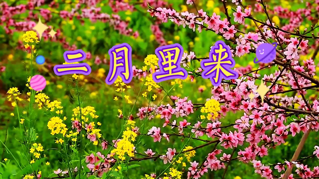 活动作品学唱经典二月里来