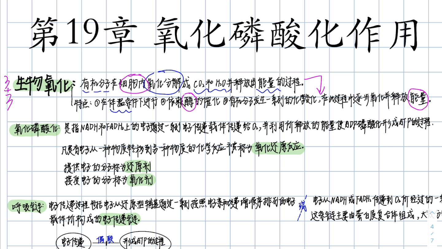 生物化学氧化磷酸化哔哩哔哩bilibili