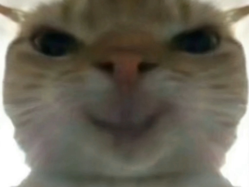 小猫唱广西大师