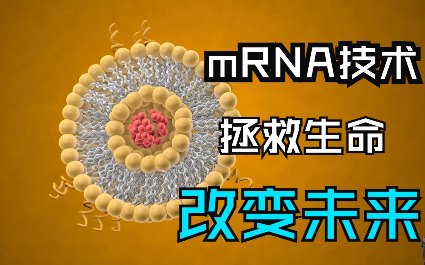 mRNA技术的奥秘:它是什么,它能做什么,它将带来什么?哔哩哔哩bilibili