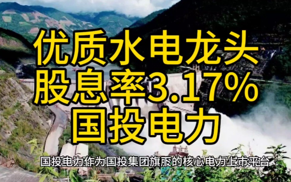 优质水电龙头,股息率3.17%,国投电力哔哩哔哩bilibili